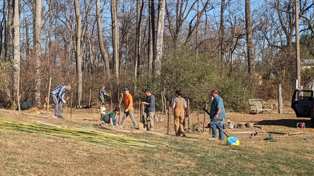 pxl 20241109 182106489