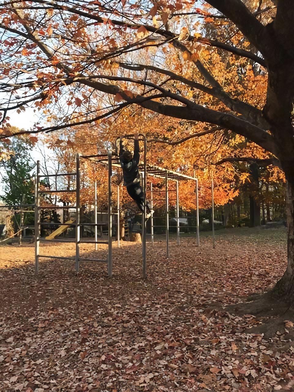 outside of river valley waldorf school in the fall with leaves on the ground and student playing