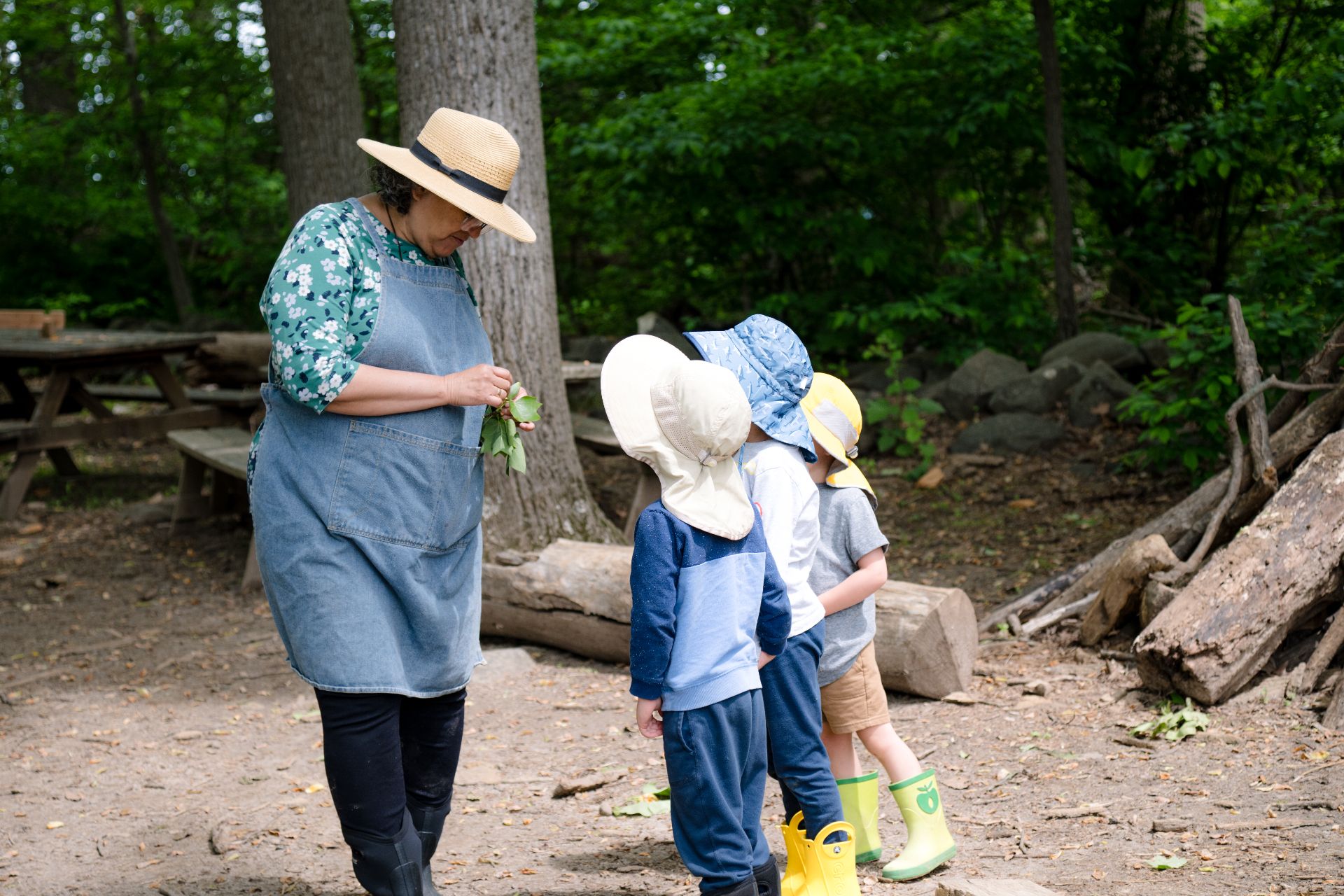 early childhood support teacher